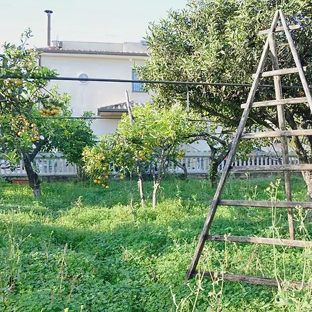 Appartamento Marmedi Apartamento *